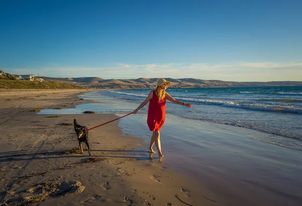 Повзрослевшая Женщина Домашняя Собака Прогуливаясь Вдоль Морского Берега Далекому Пустому — стоковое фото