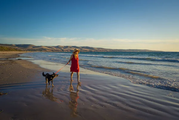 Beautiful Mature Woman Pet Dog Leash Walking Sea Shore Remote — Stock Photo, Image