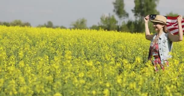 Rüzgarda çırpınan ABD bayrağı. — Stok video