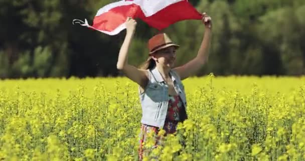 加拿大国旗在风中飘扬. — 图库视频影像
