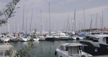 Birçok yelkenli ve yat iskelede duruyor..