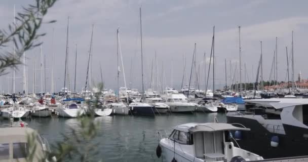 Many sailing boats and yachts stand at the pier. — Stock Video