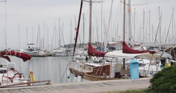 Mnoho plachetnic a jachet stojí na molu v přístavu. — Stock video