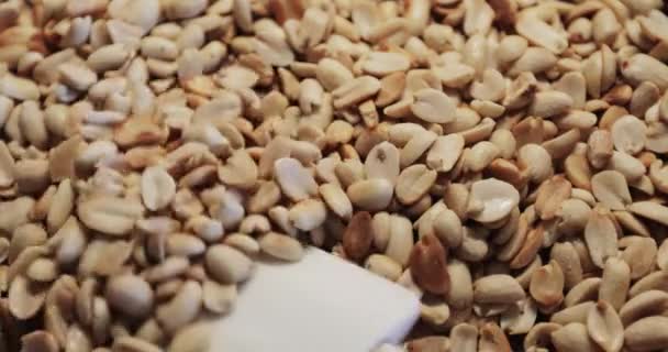 Proceso de producción de nueces crujientes tostadas. — Vídeo de stock