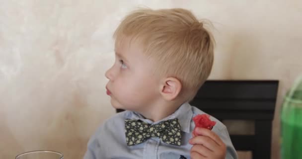 Lindo chico está comiendo sandía. — Vídeo de stock