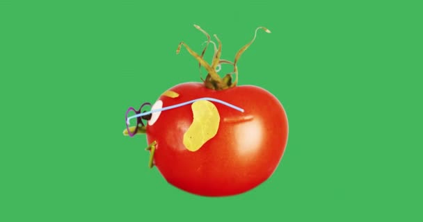 Gözlüklü taze bir domatesin yüzü yeşil bir arka planda döner.. — Stok video