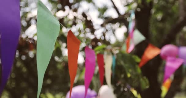Bandeiras coloridas penduradas como decoração festiva para festa ao ar livre. — Vídeo de Stock