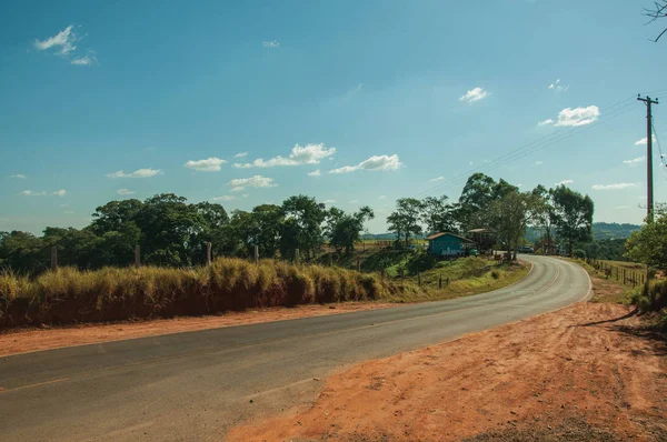 Çayırlar ve ağaçlarla kaplı arazide kırsal yol