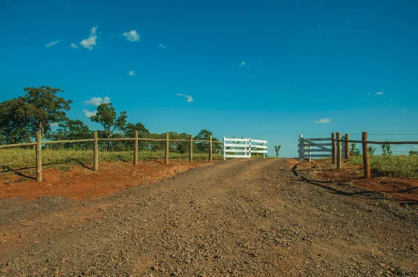 Farm gate with cattle guard and barbed wire fence