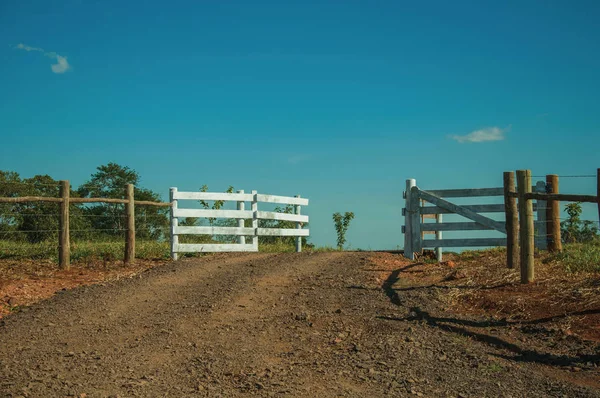 Farm gate with cattle guard and barbed wire fence — Stock Photo, Image