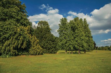 Brüksel'deki Laeken Park'ta ağaçlar ve mavi gökyüzü ile çim