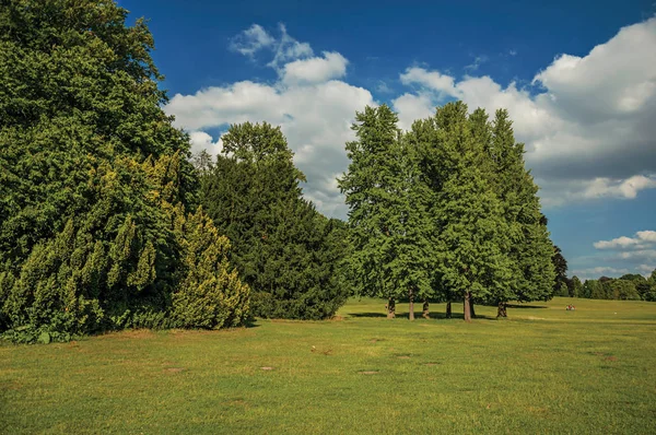 Lawn with trees and blue sky at Laeken Park in Brussels