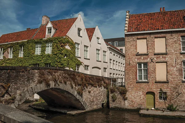 Ponte e tijolo edifícios com trepadeira no canal de Bruges — Fotografia de Stock