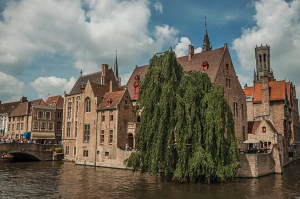 Puente y frondoso árbol con edificios de ladrillo en el canal de Brujas — Foto de Stock