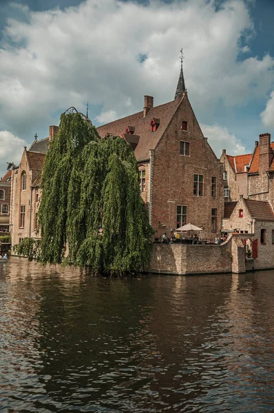 Árbol leafy con viejos edificios de ladrillo en el canal de Brujas — Foto de Stock