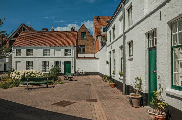 Bakstenen huizen rond het plein met bloemen en boom in Brugge — Stockfoto