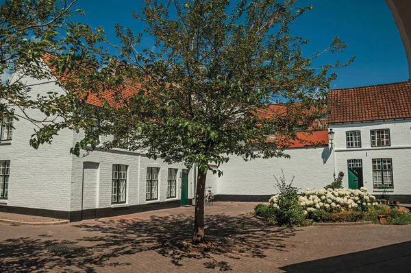 Casas de ladrillo alrededor de la plaza con flores y árbol en Brujas — Foto de Stock