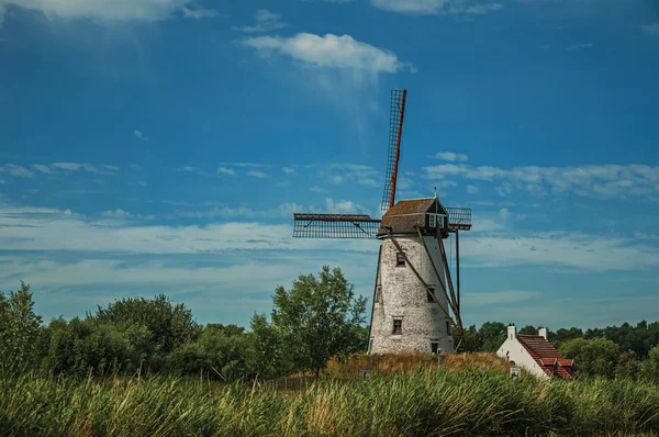 Antiguo molino de viento junto al canal con arbustos y arboleda cerca de Damme — Foto de Stock