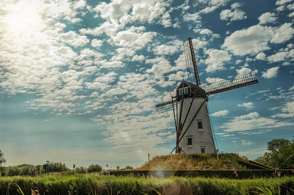 Antiguo molino de viento junto al canal con arbustos y luz solar cerca de Damme — Foto de Stock