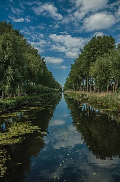 Struiken en grove langs kanaal met hemel weerspiegeld op water in Damme — Stockfoto