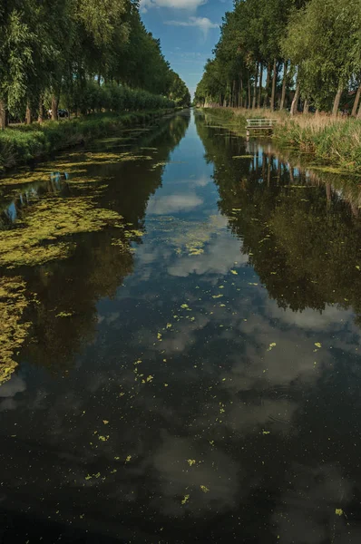 Struiken en grove langs kanaal met hemel weerspiegeld op water in Damme — Stockfoto