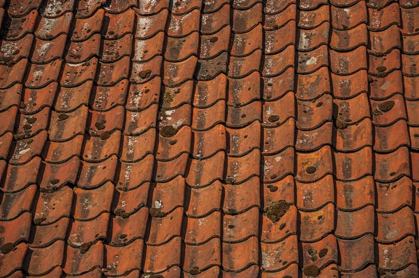 Close-up van tegels die een patroon vormen bij Damme — Stockfoto