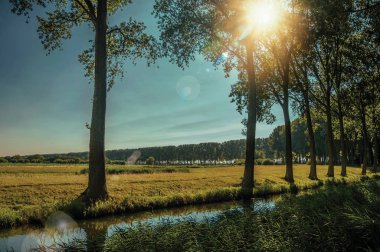 Damme köyü yakınlarındaki orman ve tarlalarda dere