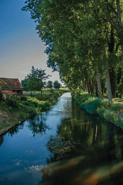 Kreek in de bossen in de buurt van het dorp Damme — Stockfoto