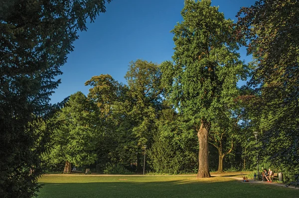 Feuillus et famille ayant du temps libre dans un parc de Tielt — Photo