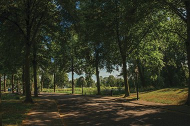 Weesp'te kanal ve gün batımı yakınındaki yapraklı ağaçların gölgesindeki sokak