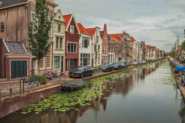 Gouda suyeşilim bitkiler ve tuğla evler ile Kanal