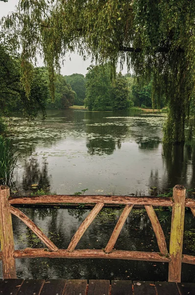 Brug te midden van de tuin met bomen op een regenachtige dag in het haar kasteel — Stockfoto