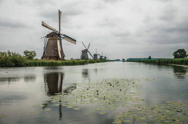 Kinderdijk bulutlu bir günde çalılar ve yel değirmenleri ile Kanal