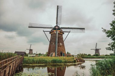 Kinderdijk bulutlu bir günde çalılar ve yel değirmenleri ile Kanal