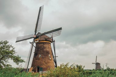 Kinderdijk bulutlu bir günde çalılar ve yel değirmenleri ile Kanal