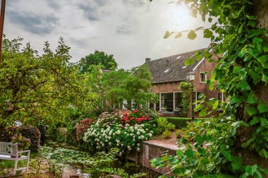 Canal next to rustic house and lush flowery garden in Drimmelen clipart