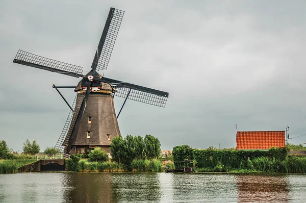 Ветряная мельница с домом и кустами на канале в Киндердейке — стоковое фото