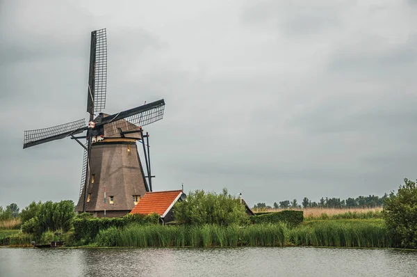 Vindmølle med hus og buske på kanalen på Kinderdijk - Stock-foto