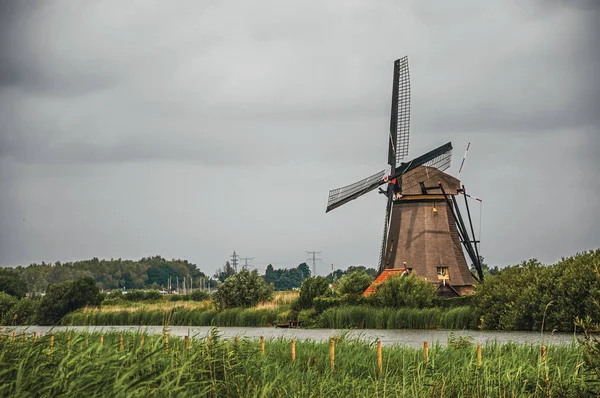Canal com arbustos e moinhos de vento em um dia nublado em Kinderdijk — Fotografia de Stock