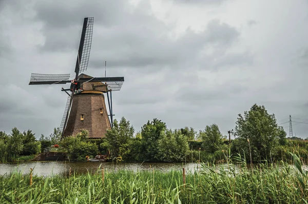 Kanal med buske og vindmøller i en overskyet dag på Kinderdijk - Stock-foto