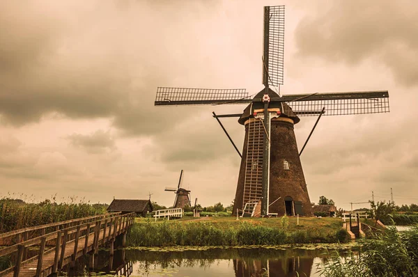 Canal con arbustos y molinos de viento en un día nublado en Kinderdijk — Foto de Stock