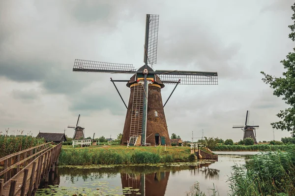 Canal con arbustos y molinos de viento en un día nublado en Kinderdijk — Foto de Stock