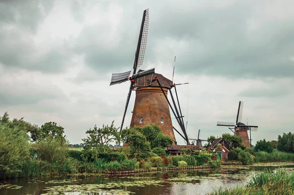 Canal con arbustos y molinos de viento en un día nublado en Kinderdijk — Foto de Stock