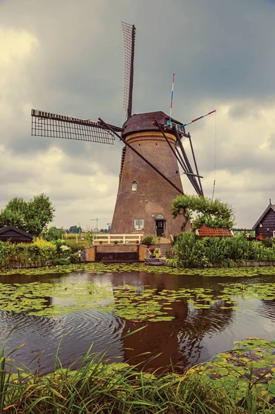 Canal con arbustos y molinos de viento en un día nublado en Kinderdijk — Foto de Stock