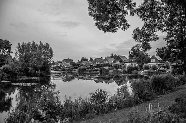 Canal junto a casas rústicas con arbustos y árboles en Drimmelen — Foto de Stock