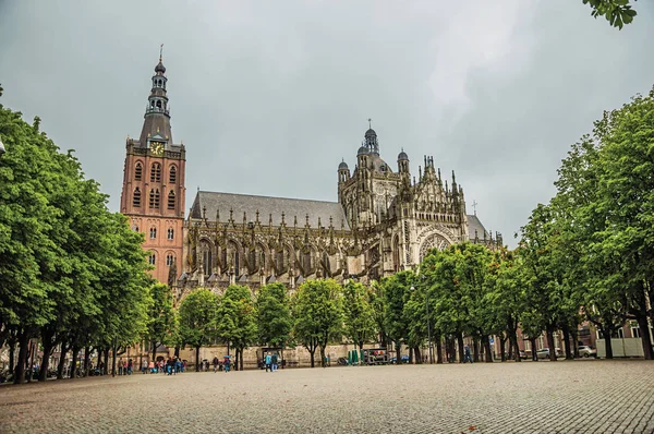 Wide square with trees in front of St. John Cathedral — 스톡 사진