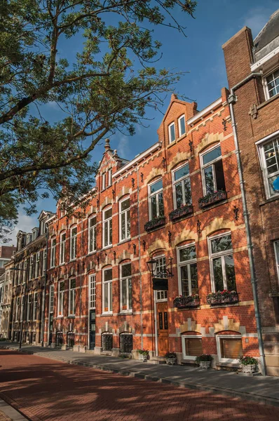 Straat met bakstenen huizen en schaduw van bomen in s-Hertogenbosch — Stockfoto
