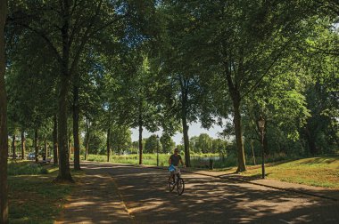 Weesp yapraklı ağaçların gölgesinde bir sokakta bisikletsürme Adam