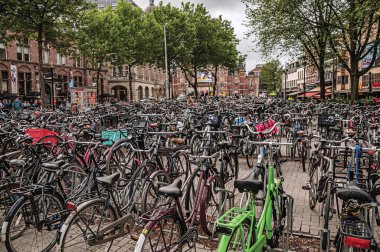 Amsterdam meydanında park etmiş yüzlerce bisiklet