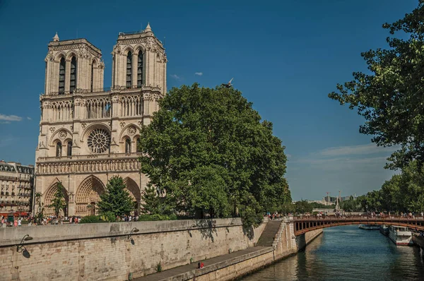 Senna e Cattedrale di Notre-Dame a Parigi — Foto Stock